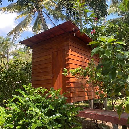 Coco Cabins By Thush Bentota Exterior photo