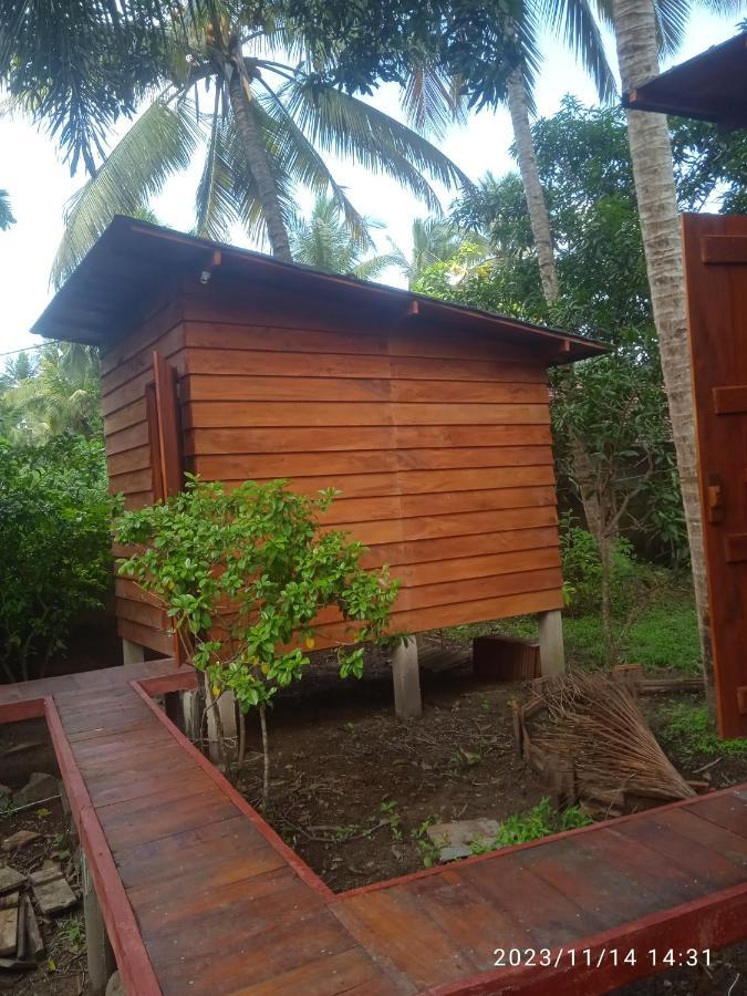 Coco Cabins By Thush Bentota Exterior photo