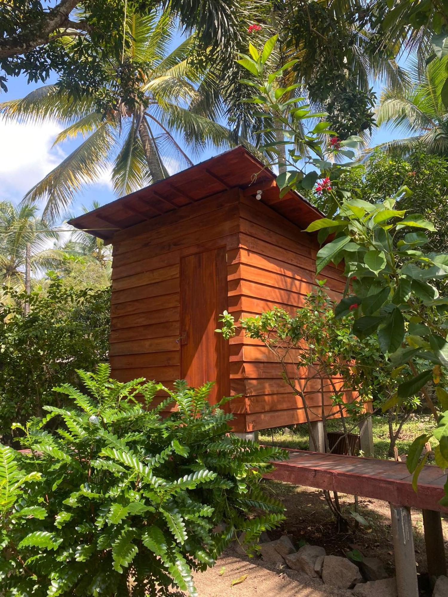 Coco Cabins By Thush Bentota Exterior photo