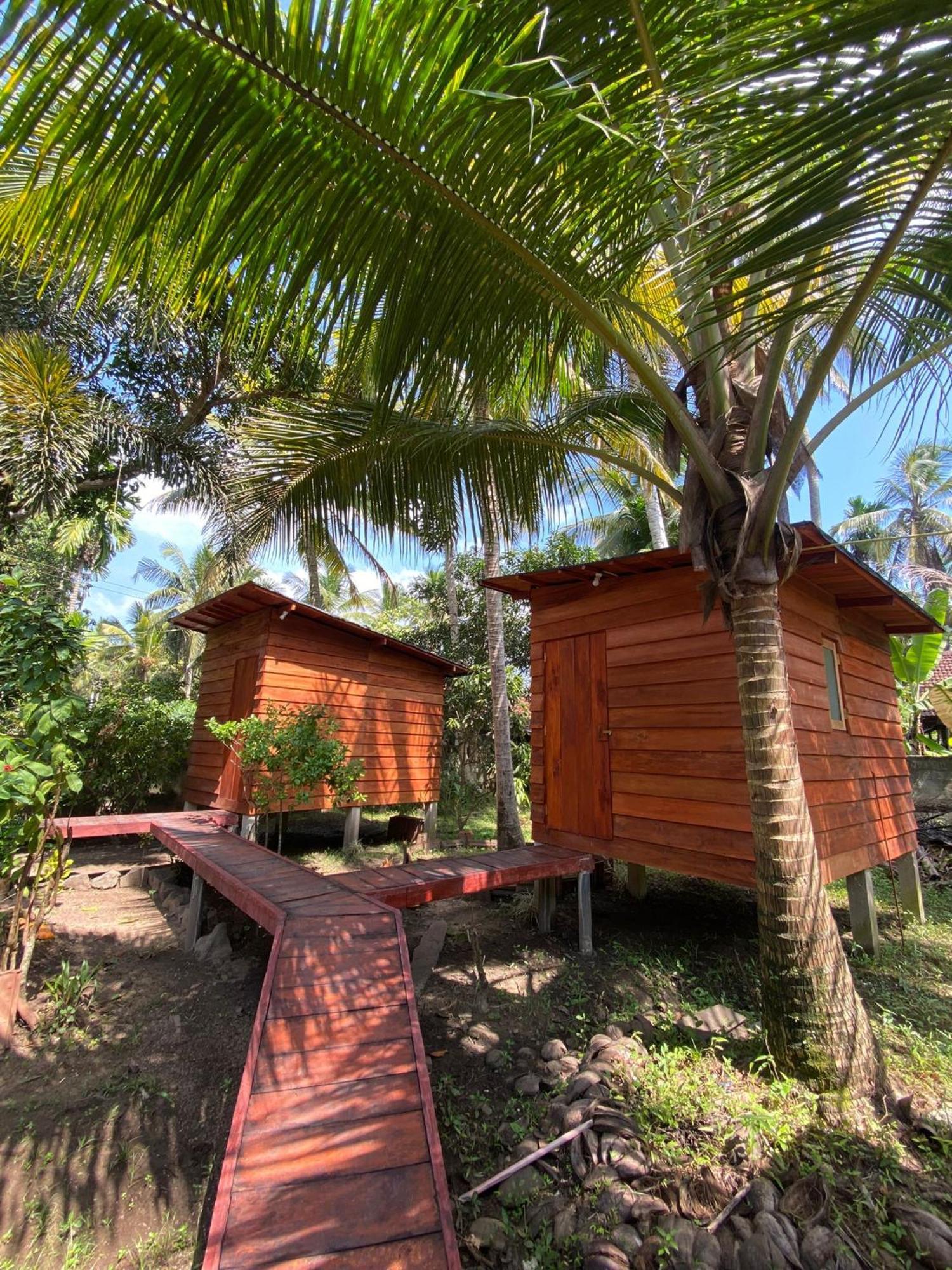 Coco Cabins By Thush Bentota Exterior photo